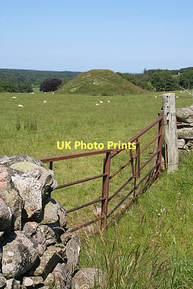 Photo 6"x4" Cantraydoune Motte Cantraywood c2011