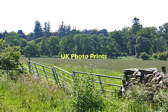 Photo 6"x4" Near Kilravock Clephanton\/NH8150 c2011