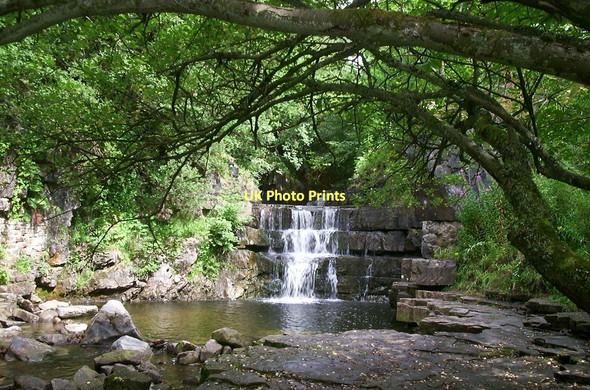 Photo 6"x4" Bow Lee Beck Bowlees\/NY9028 c2006