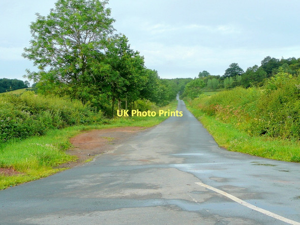 Photo 6"x4" Straight road to Corse Hill Tirley Knowle c2011