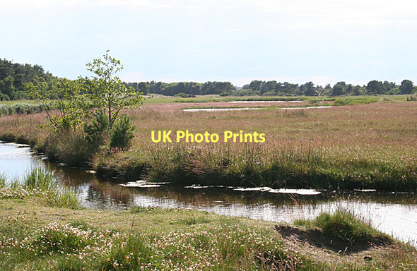 Photo 6"x4" The Minister's Pool Nairn c2011
