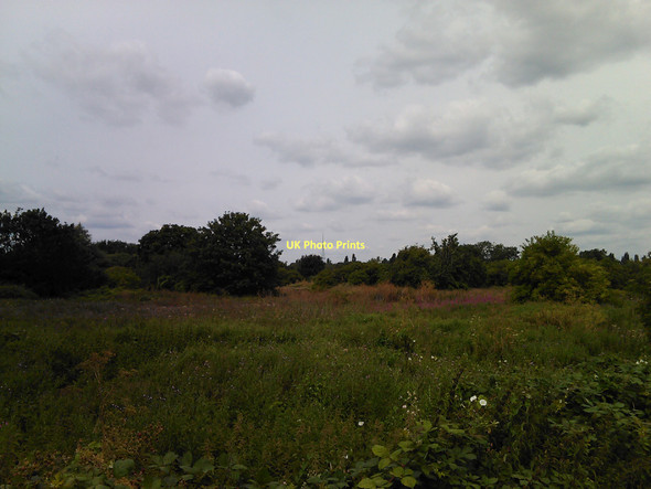 Photo 6"x4" View of the Anerley TV transmission mast from South Norwood Country Park # Beckenham c2011