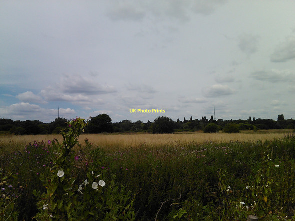 Photo 6"x4" View of the Anerley and Crystal Palace TV transmission masts #2 Beckenham c2011
