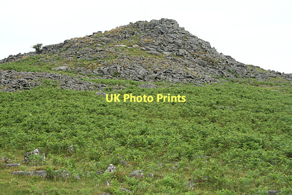 Photo 6"x4" Walkhampton: Sharpitor Sheepstor c2011