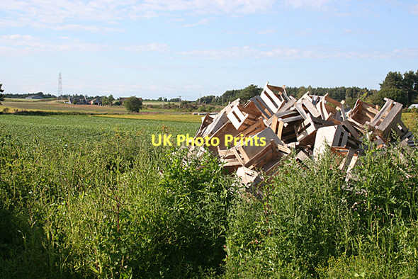 Photo 6"x4" A Future Bonfire? Auldearn c2011