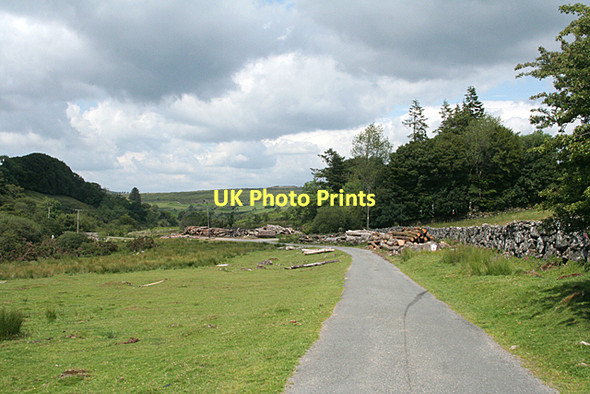 Photo 6"x4" Dartmoor Forest: by the lane to Sherberton Sherberton c2011