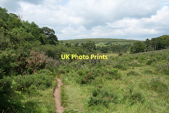 Photo 6"x4" Dartmoor Forest: Swincombe valley Sherberton c2011