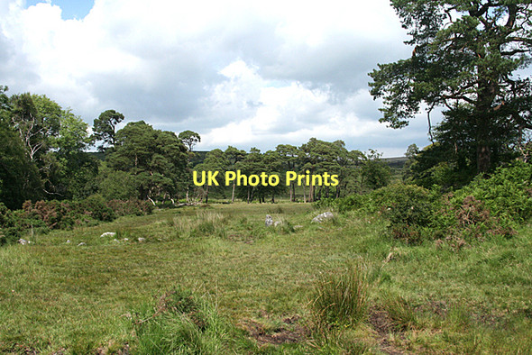 Photo 6"x4" Dartmoor Forest: by the river Swincombe Sherberton c2011