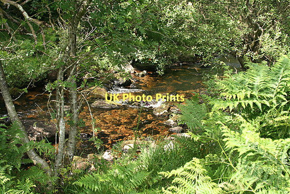Photo 6"x4" Dartmoor Forest: river Swincombe Sherberton c2011