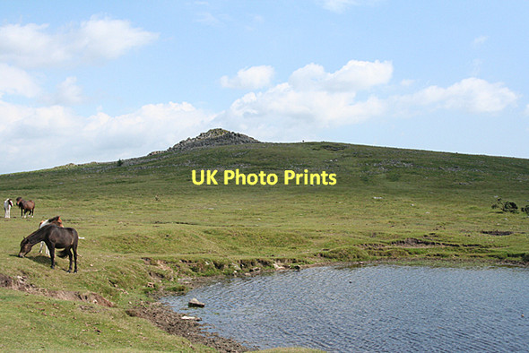 Photo 6"x4" Walkhampton: towards Sharpitor Walkhampton c2011