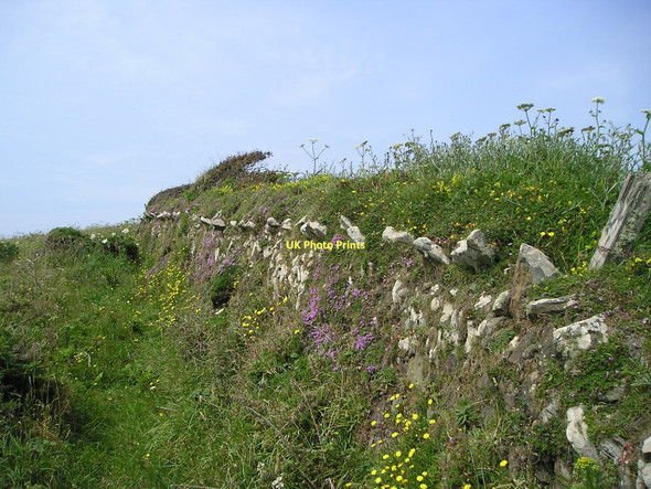 Photo 6"x4" Flower-decked drystone wall Nolton Haven\/SM8518 c2011