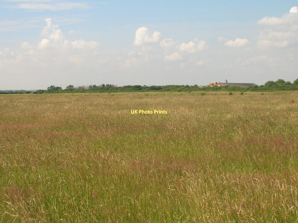 Photo 6"x4" Farmland south of the Humber North End\/TA1022 c2011