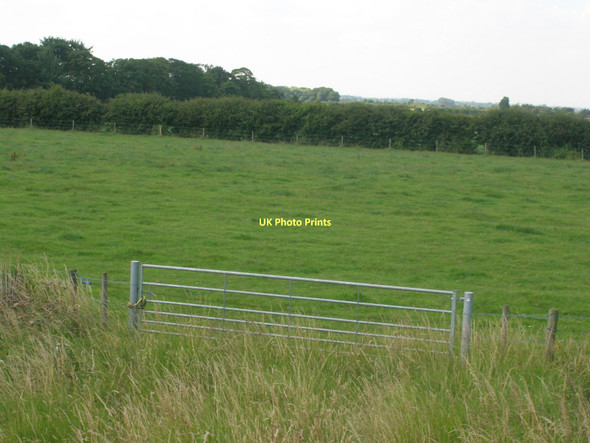 Photo 6"x4" Farmland, East Marsh North End\/TA1022 c2011
