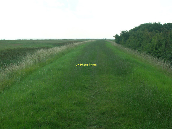 Photo 6"x4" Footpath along the Humber North End\/TA1022 c2011