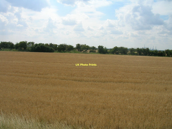 Photo 6"x4" Farmland, Halton Marshes East Halton c2011