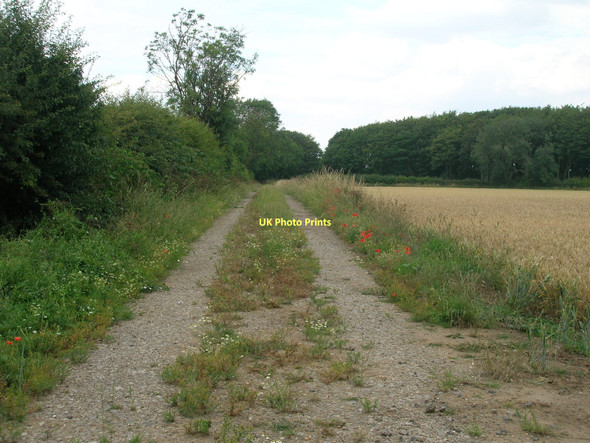 Photo 6"x4" Farm track off Soft Lane Goxhill\/TA1021 c2011