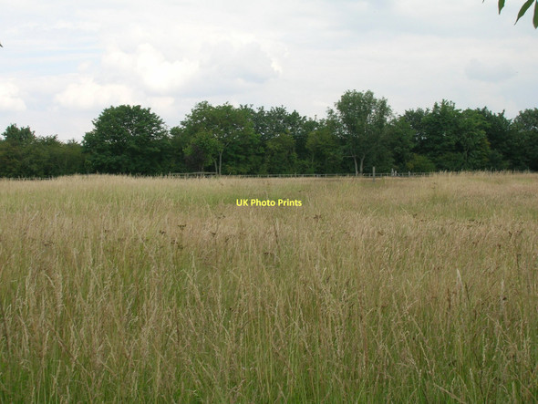 Photo 6"x4" Farmland, South End South End\/TA1120 c2011