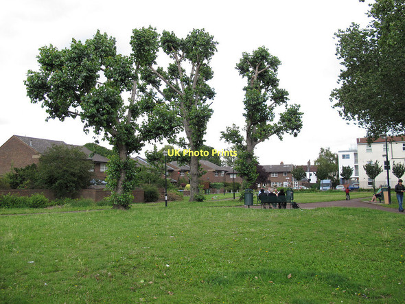 Photo 6"x4" Glenister Gardens Greenwich\/TQ3977 c2011