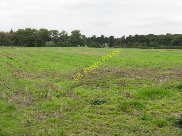Photo 6"x4" Edge Of The Tatton Estate New Mills\/SJ7781 c2009