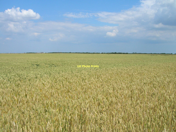 Photo 6"x4" Farmland near New Holland New Holland\/TA0823 c2011