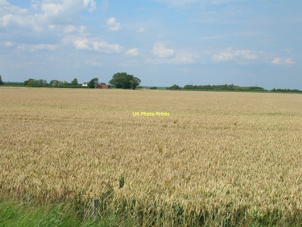 Photo 6"x4" Farmland off Marsh Lane New Holland\/TA0823 c2011