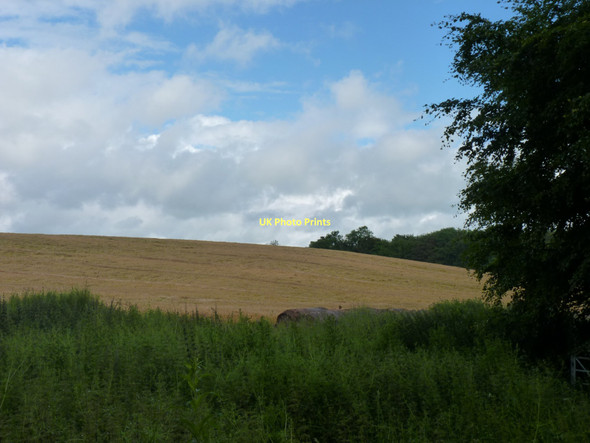 Photo 6"x4" Ripening barley Aberdour c2011