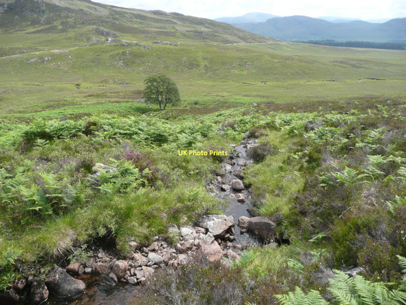 Photo 6"x4" Allt Ruigh an Toisich Balgowan\/NN6394 c2011