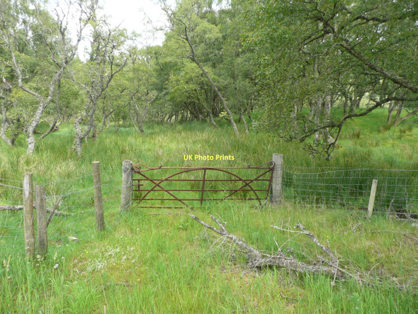 Photo 6"x4" Gate to a marsh Etteridge c2011