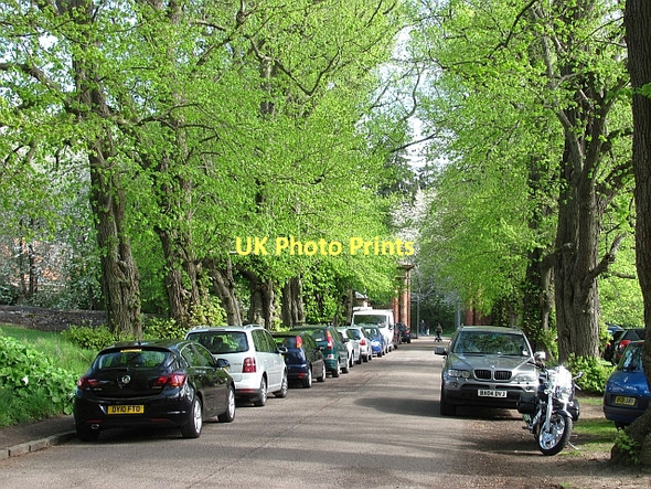 Photo 6"x4" The Avenue, Gifford Gifford c2011