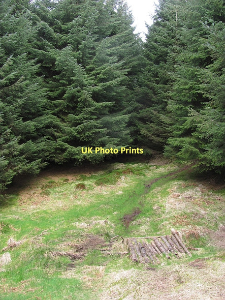 Photo 6"x4" Path up Beinn Chochan Kinlochard c2011