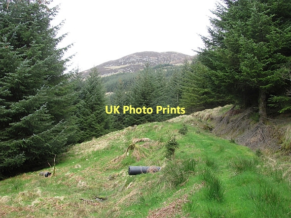 Photo 6"x4" Path up Beinn Chochan Kinlochard c2011 P1