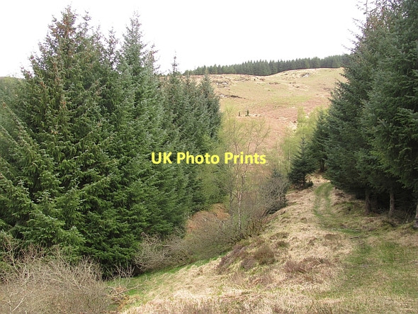 Photo 6"x4" Path up Beinn Chochan Kinlochard c2011