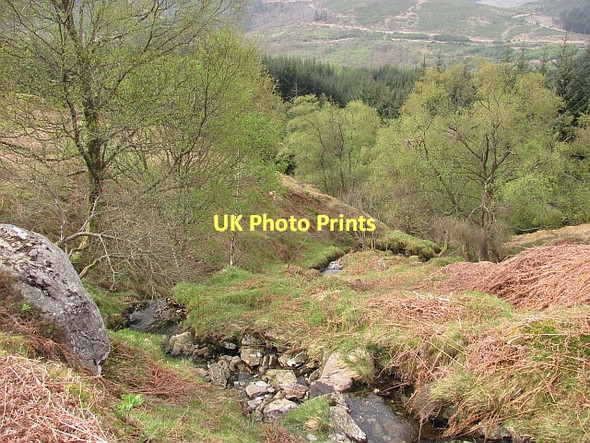 Photo 6"x4" Allt Tairbh Kinlochard c2011