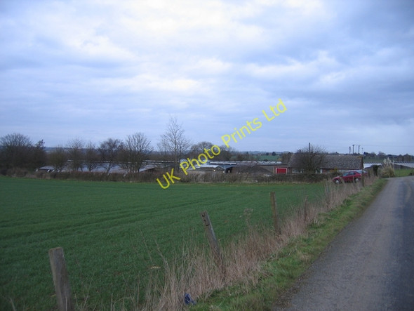 Photo 6"x4" Poultry Farm Claydon\/SP4550 c2006