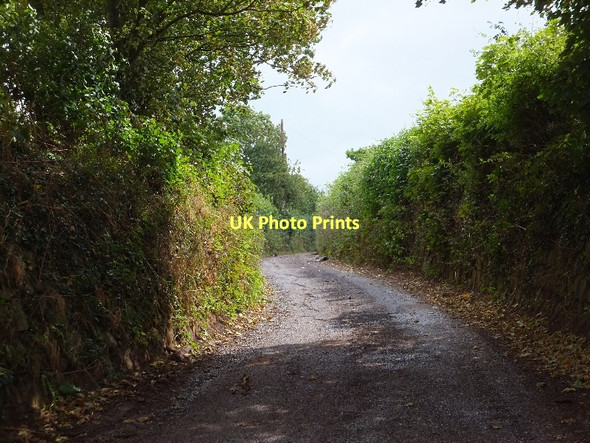 Photo 6"x4" Farm lane to Stockeydown Hollacombe\/SS8000 c2011