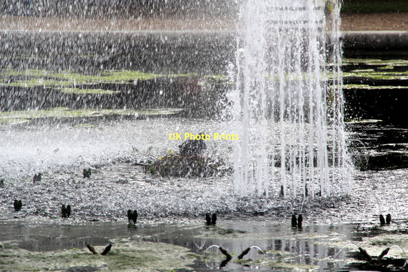 Photo 6"x4" Fountain, Hampton Court Palace, Surrey Surbiton c2011
