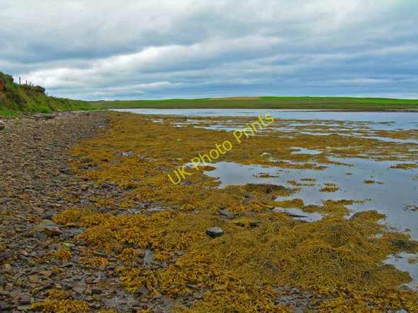 Photo 6"x4" The Bay of Suckquoy Upper Sanday c2007
