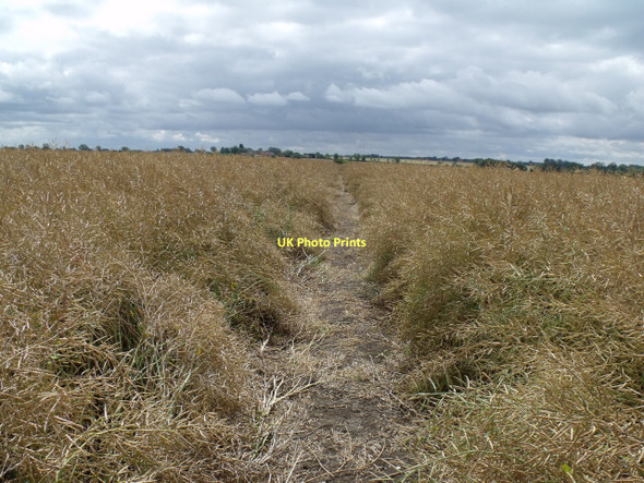 Photo 6"x4" Public Footpath from Rand to A158 road Rand c2011