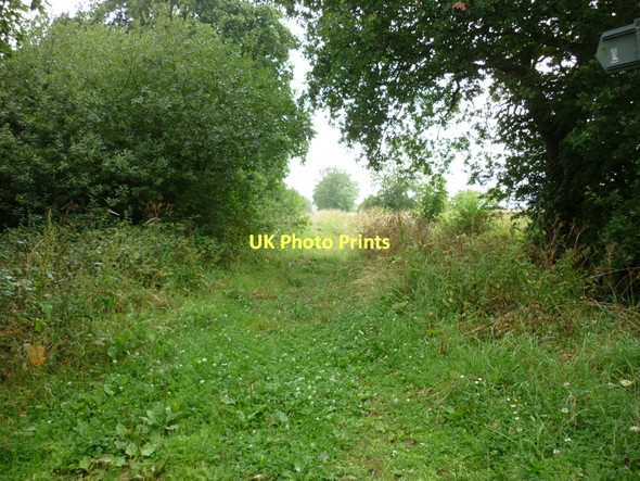 Photo 6"x4" Crabland Lane, off Moor Lane Barlby c2011