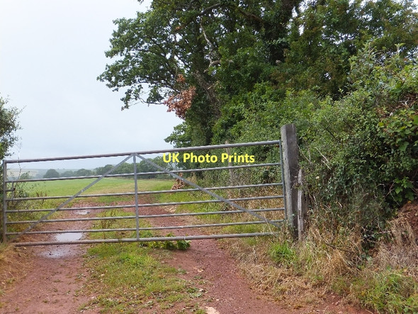 Photo 6"x4" Field and gate beside Ford Hill Copplestone\/SS7602 c2011