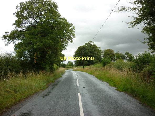 Photo 6"x4" The road to Bolton Percy Oxton\/SE5043 c2011