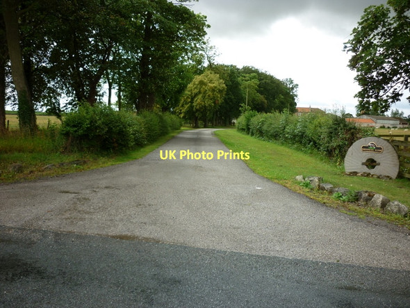 Photo 6"x4" The driveway to Hornington Manor West End\/SE5140 c2011