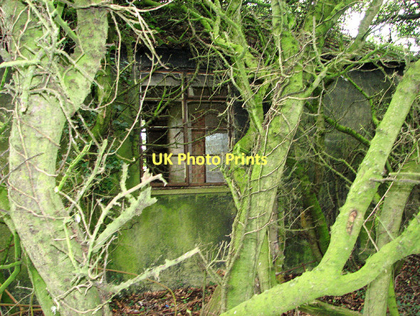 Photo 6"x4" Overgrown ex-RAF building by Halesworth airfield Upper Holton c2011
