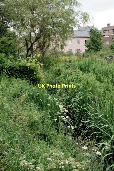 Photo 6"x4" Gairie Burn in the centre of Kirriemuir Kirriemuir c2011