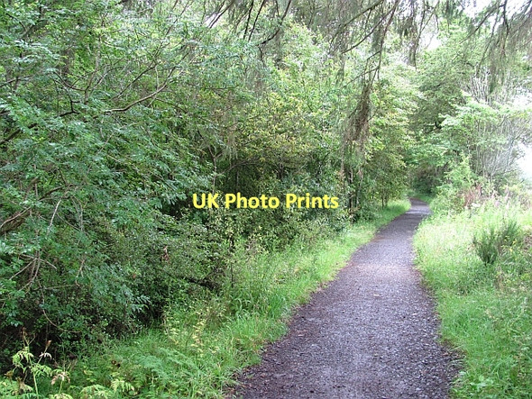 Photo 6"x4" National Cycle Network - route 77 Almondbank c2011 P1