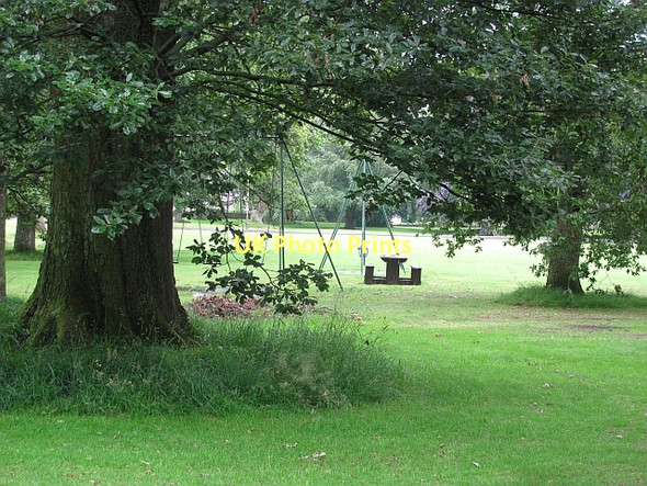 Photo 6"x4" The green, Pitcairngreen Pitcairngreen c2011