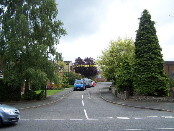 Photo 6"x4" Harpur Avenue, Ticknall Ticknall c2011