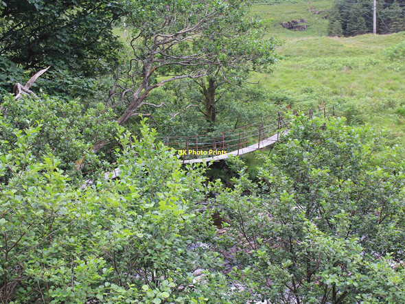 Photo 6"x4" Footbridge by Glenfyne Lodge Glenfyne Lodge c2011