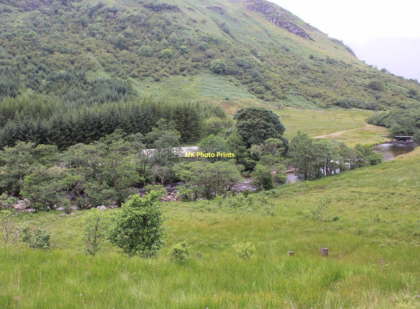 Photo 6"x4" View up Glen Fyne River Fyne c2011