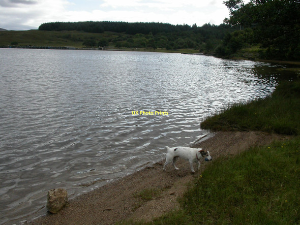 Photo 6"x4" Shore of Loch Arienas Camas Allt a' Choire c2004